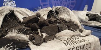 España y Portugal incautan 862 kg de cocaína oculta en carbón vegetal procedente de Latinoamérica