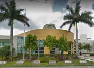 EL SAQUEO DE PDVSA: LA DELACIÓN DEL TESTIGO CLAVE