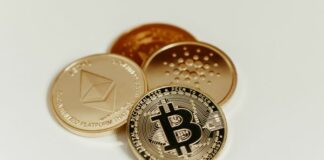 GAFI establece hoja de ruta para la implementación de estándares cripto