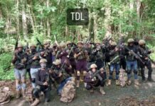 Megabandas en Venezuela: La evolución hacia la sofisticación criminal