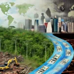 EEUU principal destino de ganancias ilícitas por delitos ambientales en la Amazonía, según informe de FACT