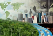 EEUU principal destino de ganancias ilícitas por delitos ambientales en la Amazonía, según informe de FACT