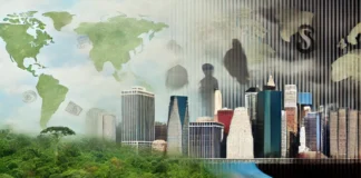 EEUU principal destino de ganancias ilícitas por delitos ambientales en la Amazonía, según informe de FACT