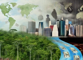 EEUU principal destino de ganancias ilícitas por delitos ambientales en la Amazonía, según informe de FACT