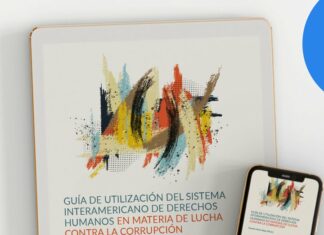 Guía de utilización del Sistema Interamericano: estrategia para combatir la corrupción desde los derechos humanos