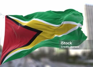 Arrestan en Guyana al próximo líder de la oposición tras solicitud de extradición de Estados Unidos