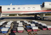 Aviones con pilotos del Chapo operaban desde el hangar presidencial de Venezuela, revela Joseph Poliszuk